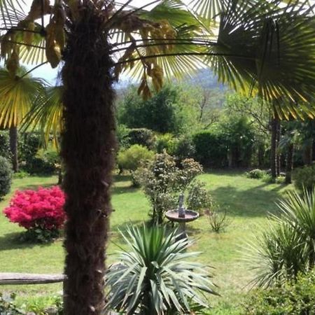 """Casa Elena -Tegna"" Die Ruheoase In Grossem Garten" Exteriér fotografie
