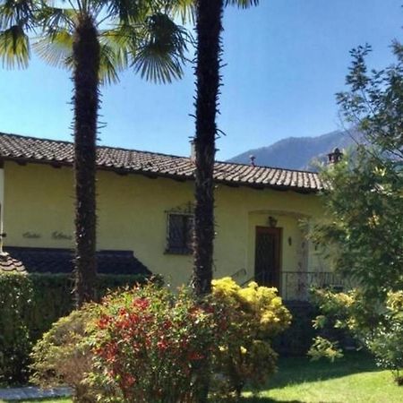 """Casa Elena -Tegna"" Die Ruheoase In Grossem Garten" Exteriér fotografie